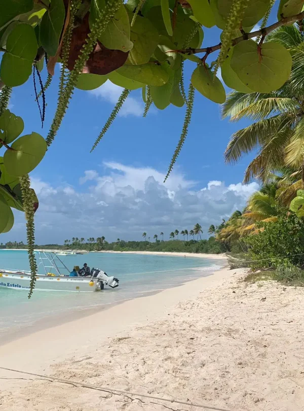 A small boat floats near the shore of Saona Island’s tropical beach with white sand and clear turquoise water. Lush palm trees and foliage frame this serene Vip escape, under a blue sky with gentle clouds.