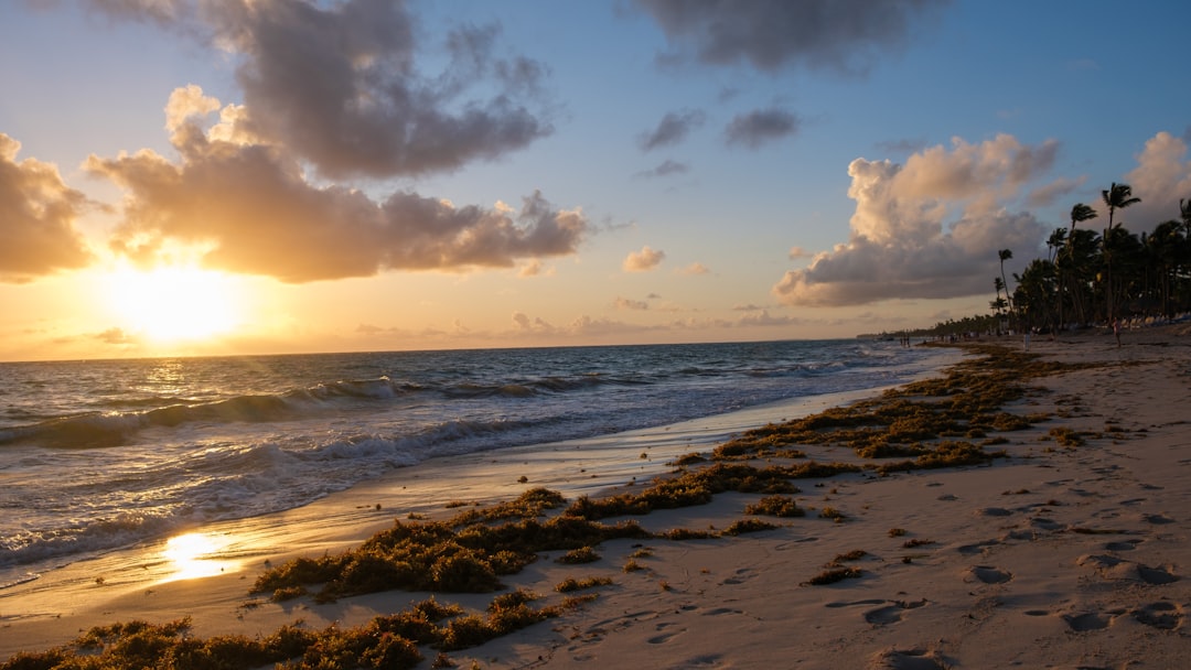 Una puesta de sol dorada sobre una playa de arena de Punta Cana con suaves olas. El cielo está parcialmente nublado y la luz del sol se refleja en el agua. Las algas salpican la orilla y las palmeras se divisan a lo lejos: una escena perfecta para los paquetes de vacaciones en la República Dominicana.